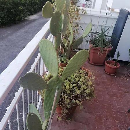 Casa Vacanze *