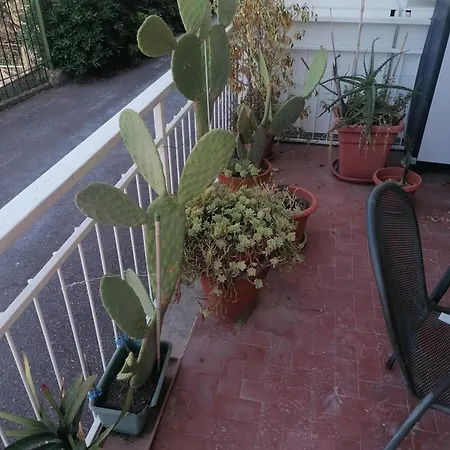 Casa Vacanze 펜션 알라시오